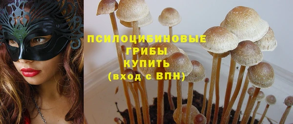 спайс Алексеевка