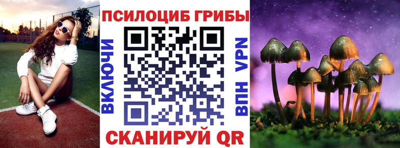 Псилоцибиновые грибы GOLDEN TEACHER  сайты даркнета Telegram  Малоярославец  продажа наркотиков 